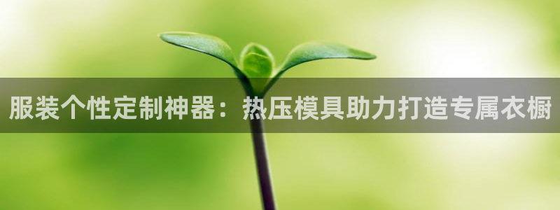 emc易倍的服务优势