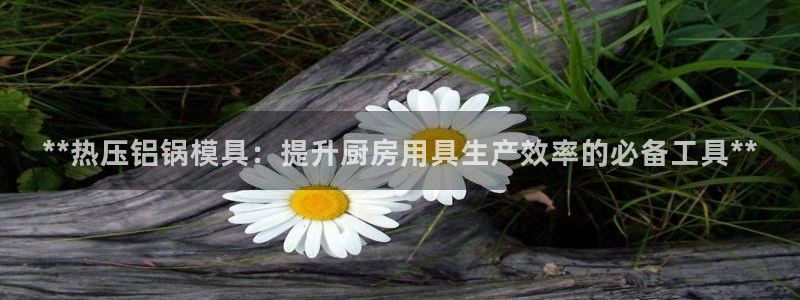 易倍申厂家