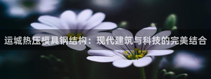 emc参数：运城热压模具钢结构：现代建筑与科技的完美结合