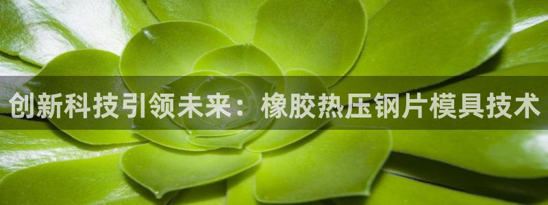 易倍单词官方网站登录：创新科技引领未来：橡胶热压钢片模具