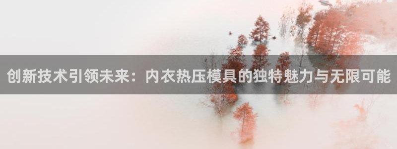易倍网络技术有限公司官网：创新技术引领未来：内衣热压模具