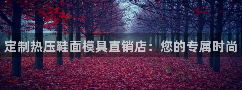 易倍单词官方网站下载：定制热压鞋面模具直销店：您的专属时