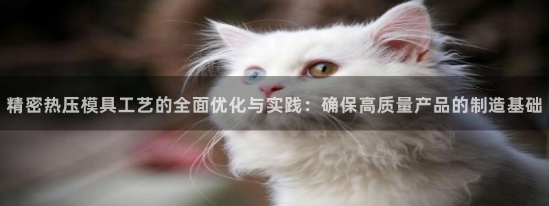 易倍纤怎么使用：精密热压模具工艺的全面优化与实践：确保高
