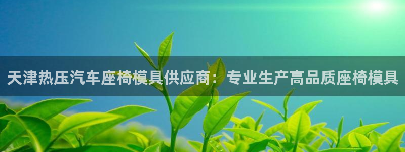 易倍达科技有限公司官网：天津热压汽车座椅模具供应商：专业