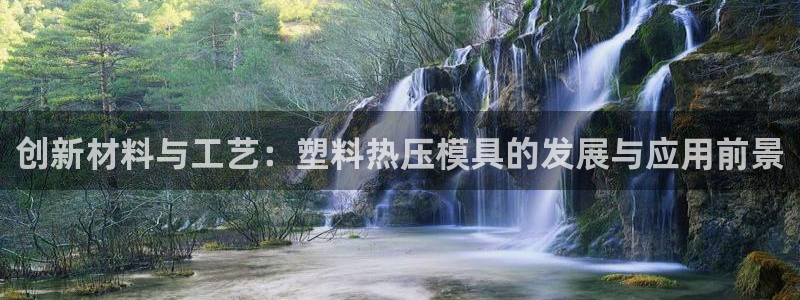 易倍申片的功效与作用：创新材料与工艺：塑料热压模具的发展