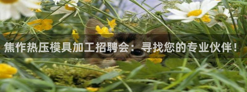emc易倍官网首页：焦作热压模具加工招聘会：寻找您的专业