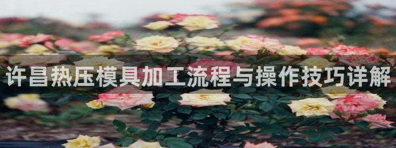 emc下载ios