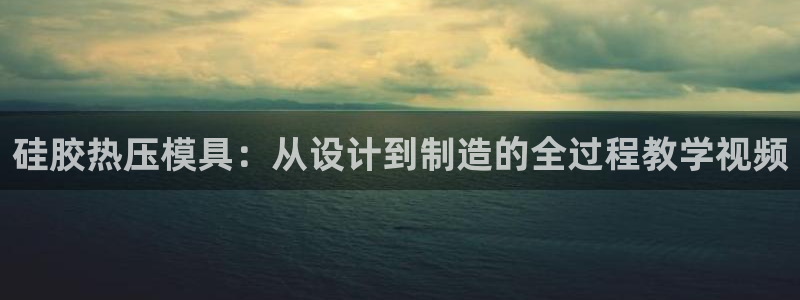 易倍网络技术有限公司是干嘛的：硅胶热压模具：从设计到制造