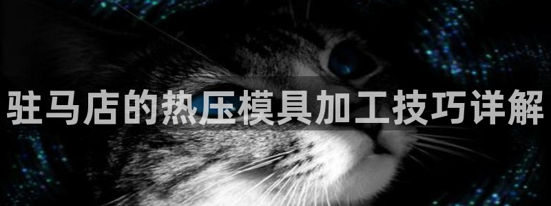 易倍纤怎么使用：驻马店的热压模具加工技巧详解