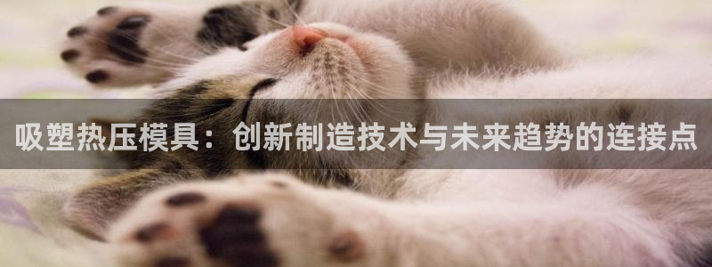 emc易倍官网app官网：吸塑热压模具：创新制造技术与未