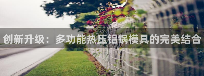 上海易倍投资有限公司：创新升级：多功能热压铝锅模具的完美