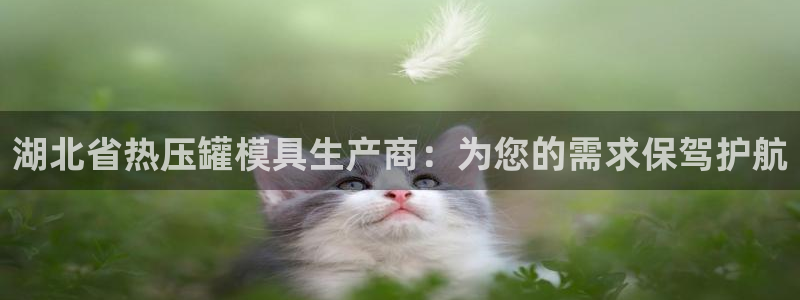 易倍申不良反应：湖北省热压罐模具生产商：为您的需求保驾护