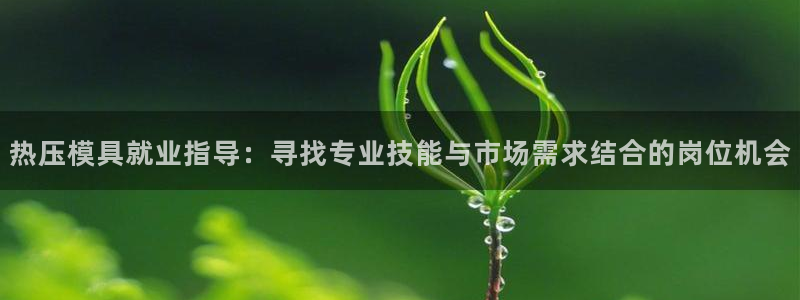 易倍英语官方网站登录：热压模具就业指导：寻找专业技能与市