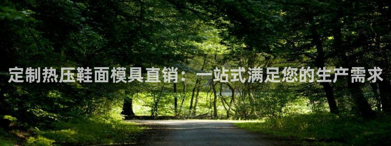 易倍电竞：定制热压鞋面模具直销：一站式满足您的生产需求