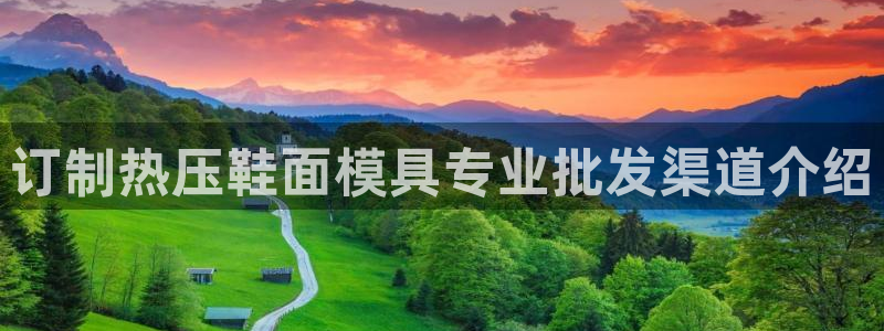 emc易倍电竞：订制热压鞋面模具专业批发渠道介绍