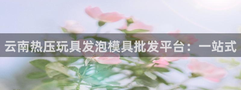 易倍申片的副作用：云南热压玩具发泡模具批发平台：一站式