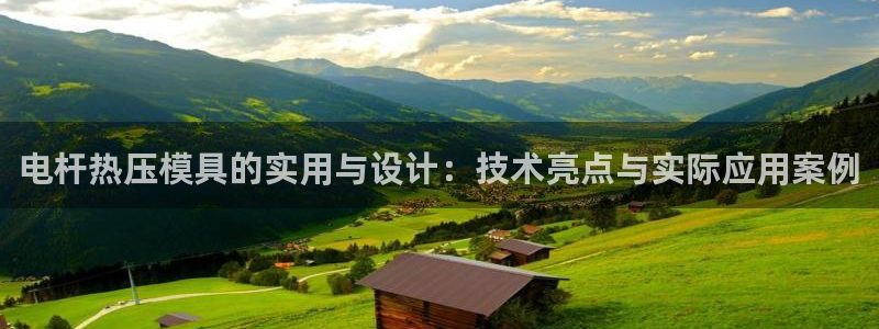 易倍企业管理软件：电杆热压模具的实用与设计：技术亮点与实