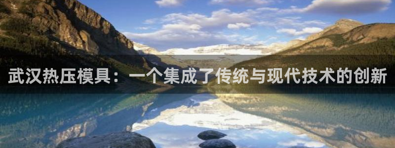 emc登录网站：武汉热压模具：一个集成了传统与现代技术的