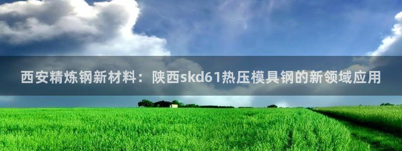 易倍单词官方网站登录：西安精炼钢新材料：陕西skd61热