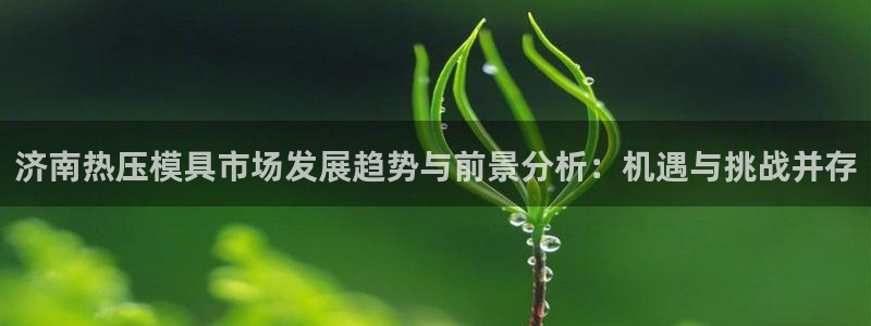 emc测试频率范围：济南热压模具市场发展趋势与前景分析：