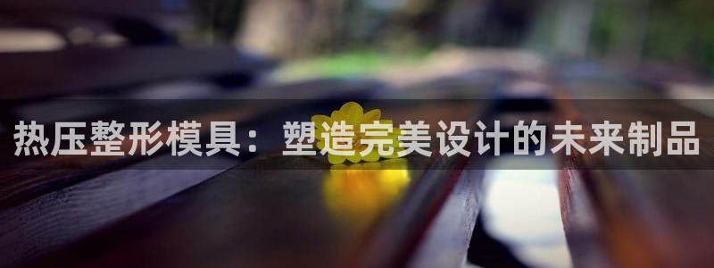 EMC易倍官网招聘：热压整形模具：塑造完美设计的未来制品