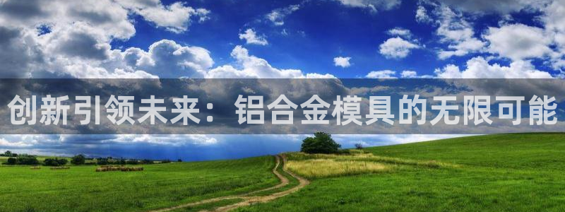 emc备份软件：创新引领未来：铝合金模具的无限可能
