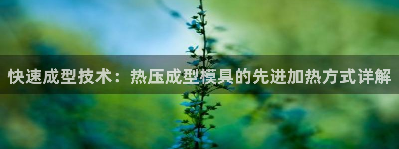 易倍单词官方网站下载：快速成型技术：热压成型模具的先进加