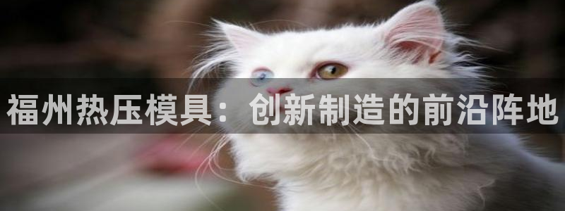 emc易倍官方：福州热压模具：创新制造的前沿阵地