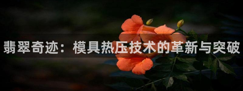南京易倍易电子科技有限公司：翡翠奇迹：模具热压技术的革新