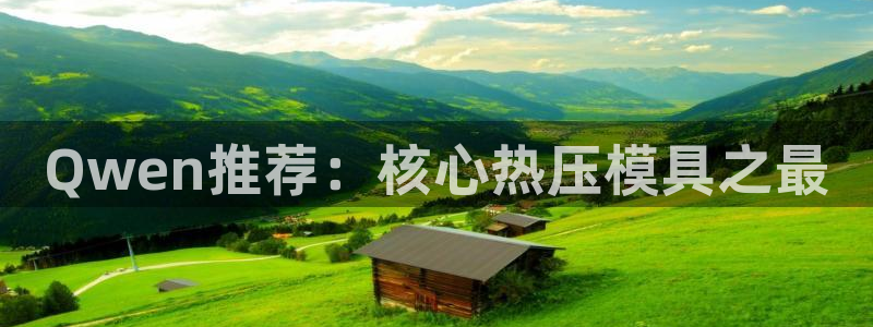 易倍申竞品：Qwen推荐：核心热压模具之最