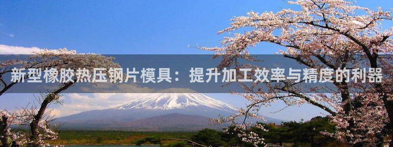 emc倍频：新型橡胶热压钢片模具：提升加工效率与精度的利
