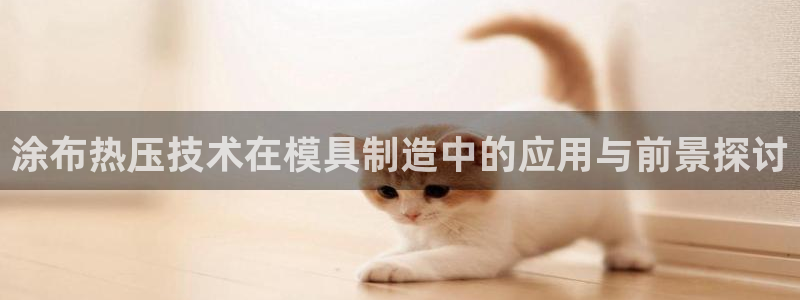 易倍纤能减肥吗：涂布热压技术在模具制造中的应用与前景探讨
