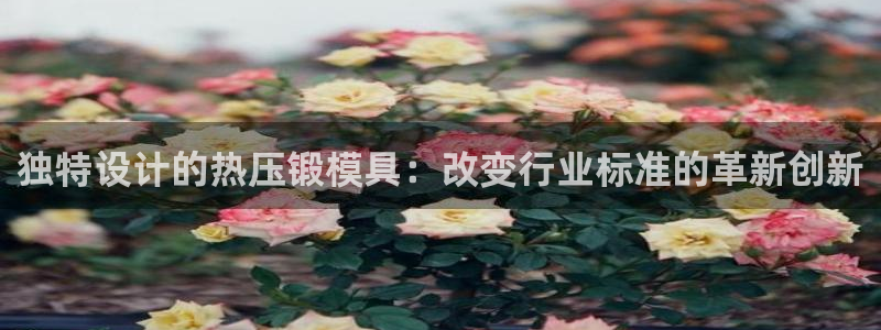 EMC易倍：独特设计的热压锻模具：改变行业标准的革新创新