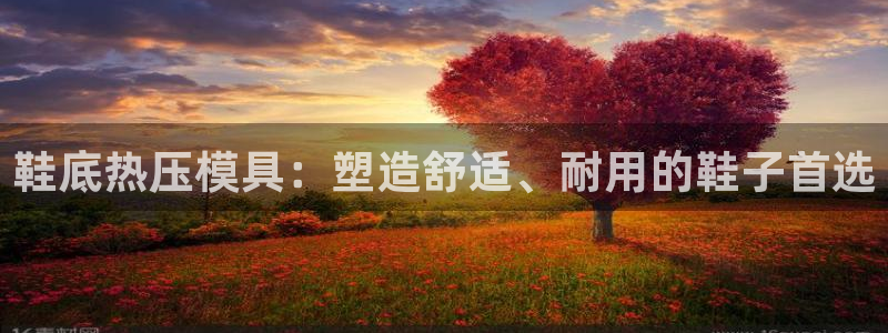 易倍思怎么样