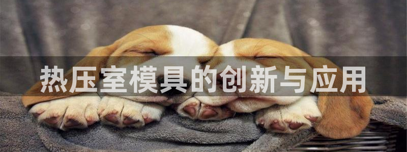 易倍单词官网下载