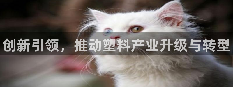 易倍网络技术有限公司官网