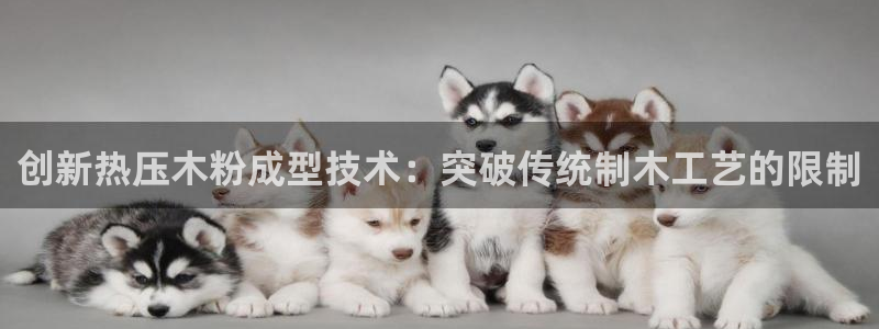 易倍emc全站