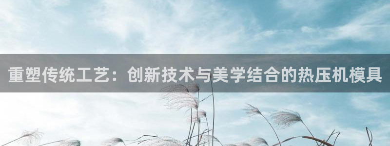 易倍网页版登录：重塑传统工艺：创新技术与美学结合的热压机