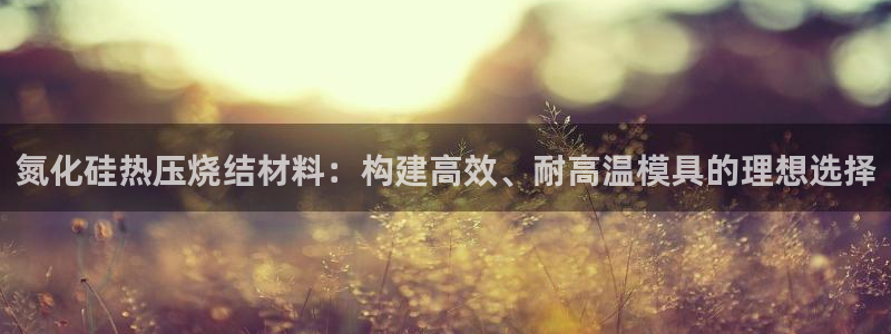 易倍申厂家：氮化硅热压烧结材料：构建高效、耐高温模具的理