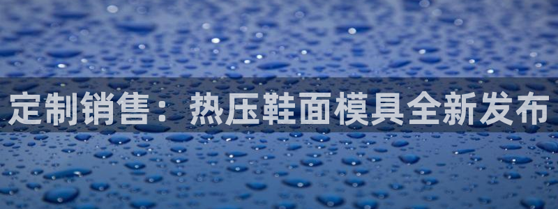emc网页版：定制销售：热压鞋面模具全新发布