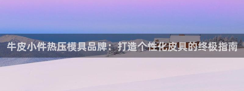 易倍申有用吗：牛皮小件热压模具品牌：打造个性化皮具的终极