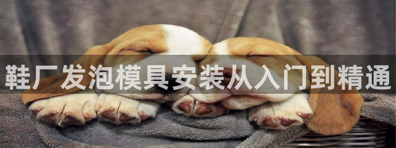 易倍达科技有限公司代运营