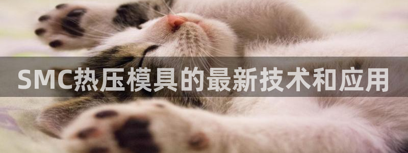 易倍申片的副作用