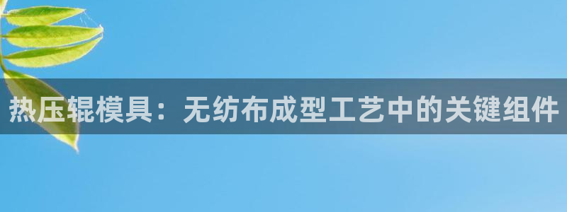 易倍单词官方网站：热压辊模具：无纺布成型工艺中的关键组件