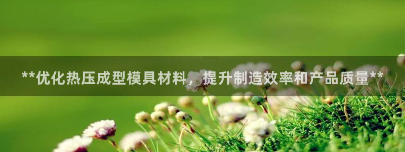EMC易倍官方平台：**优化热压成型模具材料，提升制造效