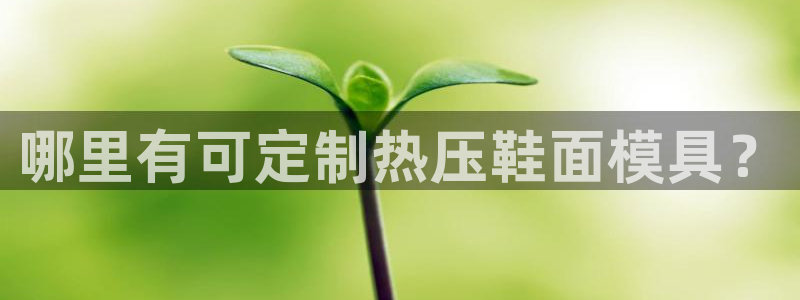 北京易倍思教育怎么样