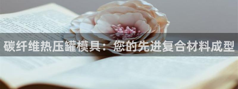 杭州易倍达:碳纤维热压罐模具:您的先进复合材料成型