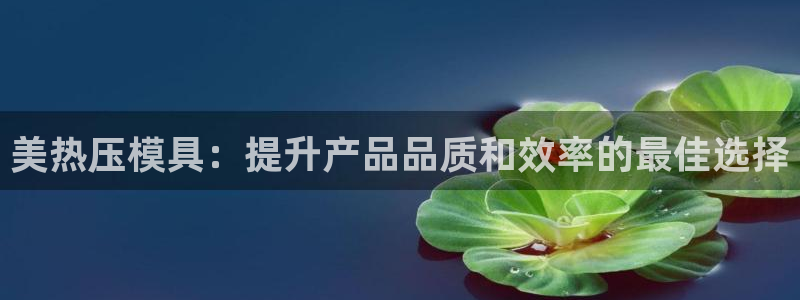 易倍思机电制造(上海)有限公司:美热压模具:提升产品品质