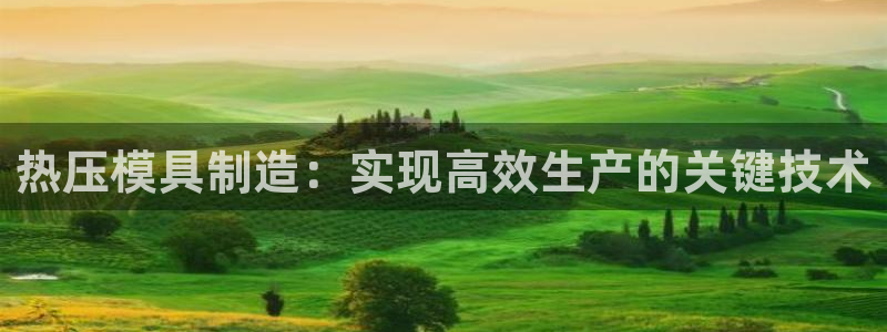 易倍达科技有限公司招聘:热压模具制造:实现高效生产的关键