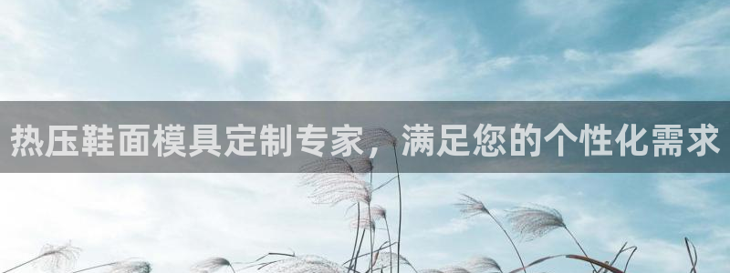 杭州易倍达：热压鞋面模具定制专家，满足您的个性化需求